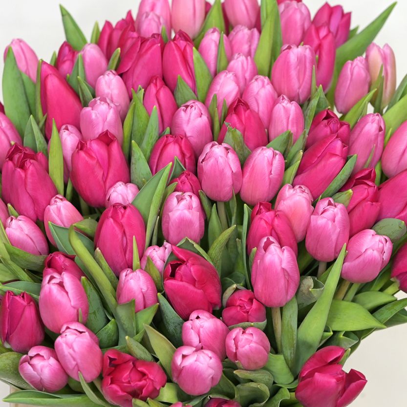 Кутия Love Pink Tulip