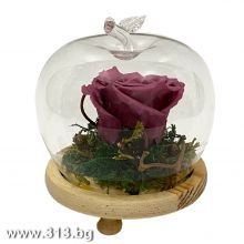 Вечна роза Purple в стъкленица