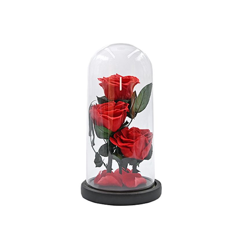 Доставка на Луксозна вечна роза в стъкленица Beauty Roses, Червен