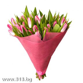  Розовые тюльпаны 