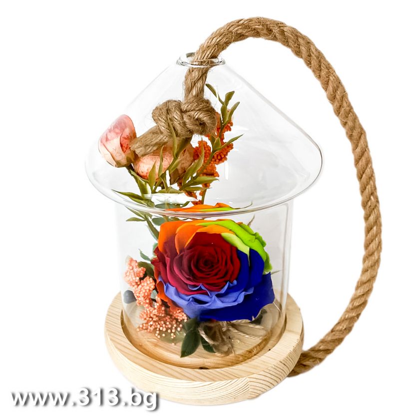 Доставка на Вечна роза в стъкленица - Rainbow Rose
