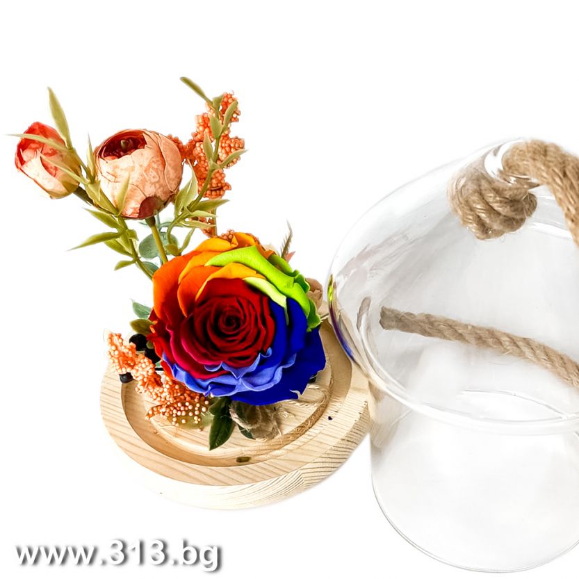 Доставка на Eternal Rose in a Glass Dome – Rainbow Rose