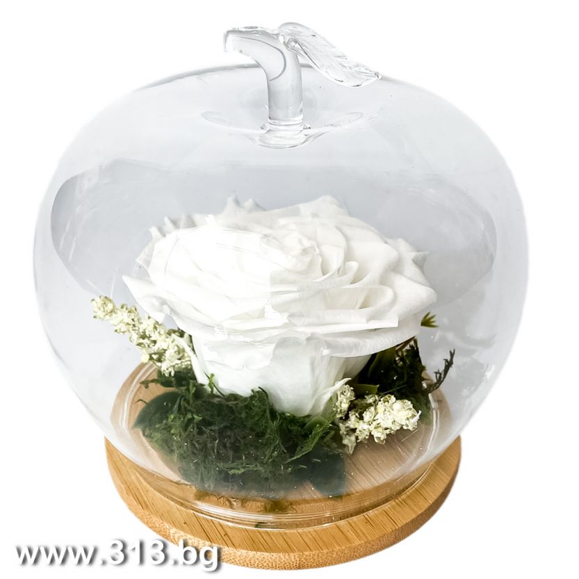 Доставка на Eternal Rose in a Glass Dome – White Lady