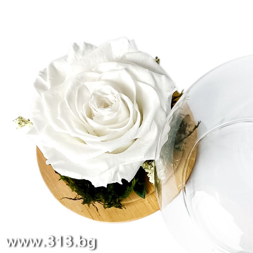 Доставка на Вечна роза в стъкленица - White Lady