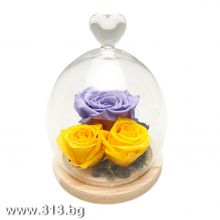 Eternal Roses in a Glass Dome - Purple & Yellow 