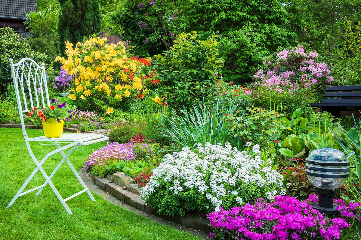 Какво трябва да знаете за аранжирането на цветя в градината?